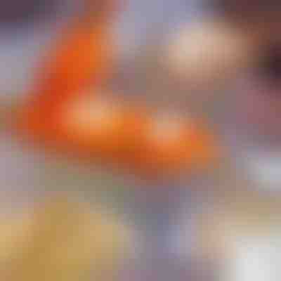 Urządzenie do robienia pierogów 2w1 | DUMPLINGER