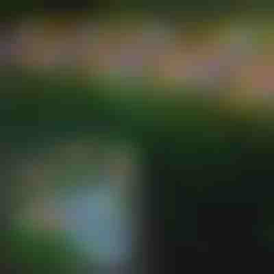 Zewnętrzna Lampka Solarna w Kształcie Motyli | FLUTIX