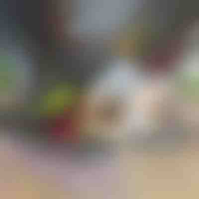 Rozdrabniacz i krajalnica do warzyw 12 w 1 | CHOPMASTER