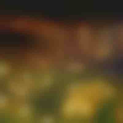 Solarna girlanda świetlna z 6 żarówkami LED | SOMPEX